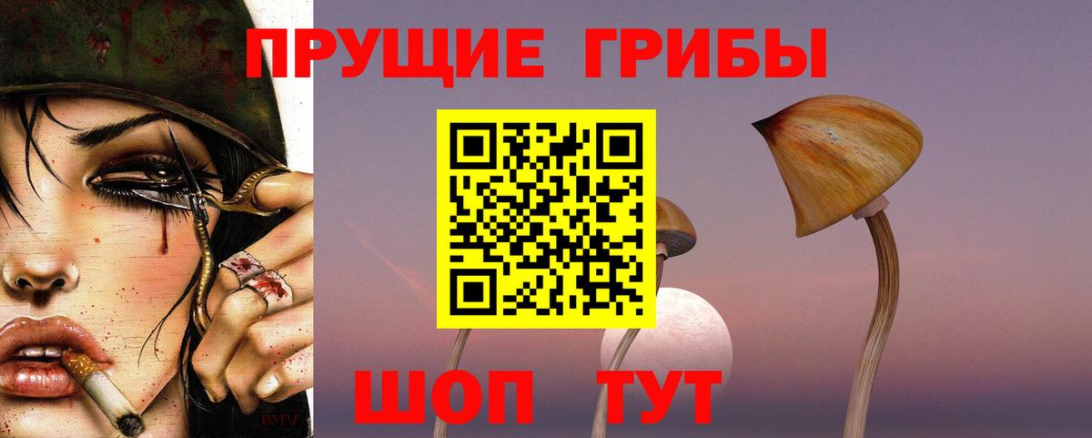 Псилоцибиновые грибы Cubensis  Галлюциногенные грибы Psilocybine cubensis  Вход с VPN  Чернушка 